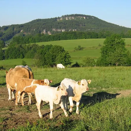 Selsky Dvur 1 * Police nad Metují